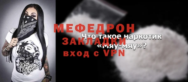 индика Каменногорск