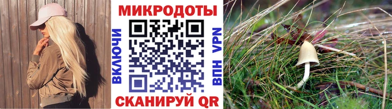 Псилоцибиновые грибы Psilocybe  мега ссылка  Амурск 