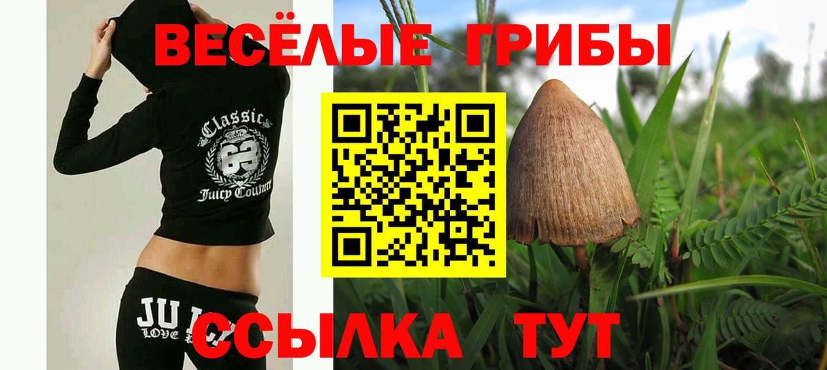 Галлюциногенные грибы мицелий  Вход с VPN  Амурск 